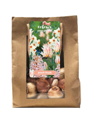 X 1 TAS 25 COLOUR YOUR GARDEN PEACH BLUSH I