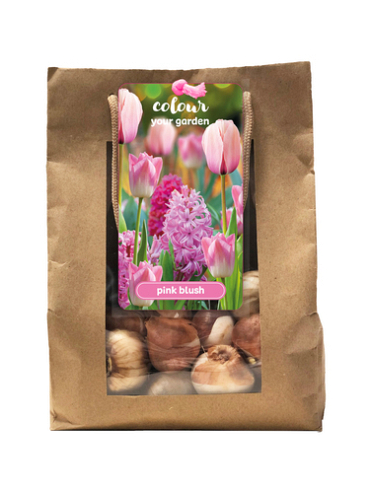 X 1 TAS 25 COLOUR YOUR GARDEN PINK BLUSH I