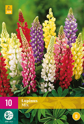 X 10 LUPINUS MIX I