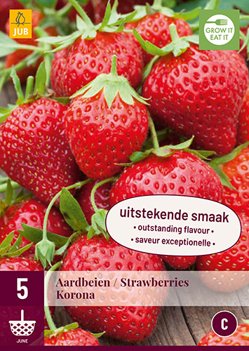 X 5 FRAGARIA / AARDBEIEN KORONA I