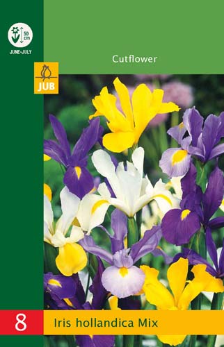 X   8 IRIS HOLLANDICA MIX 6/7