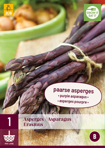 X 1 ASPARAGUS / ASPERGES ERASMUS I