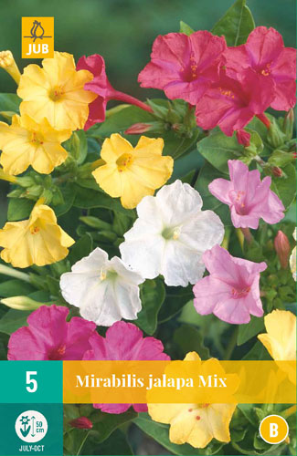 X   5 MIRABILIS JALAPA MIX II