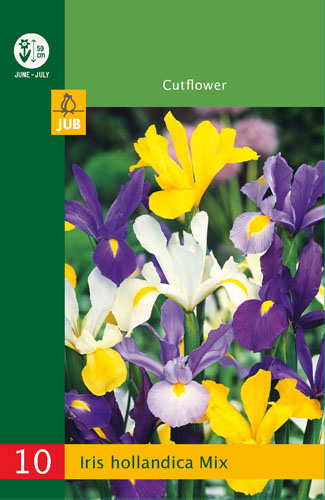 X 10 IRIS HOLLANDICA MIX 7/8