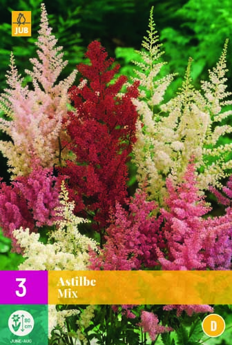 X 3 ASTILBE MIX 2/3