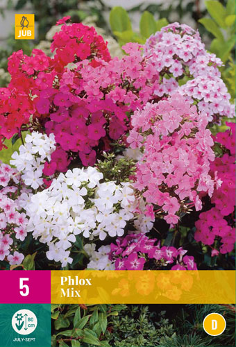 X 5 PHLOX MIX I