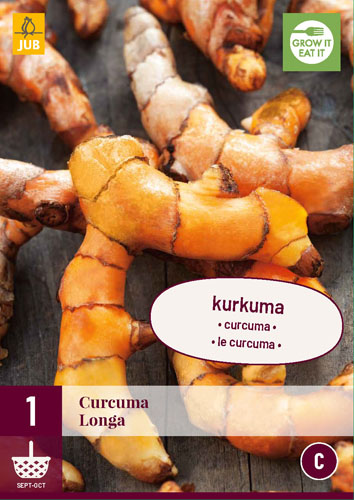 X 1 CURCUMA LONGA I