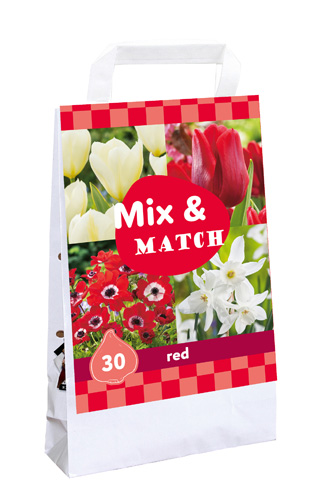X 1 TAS 30 MIX & MATCH RED I