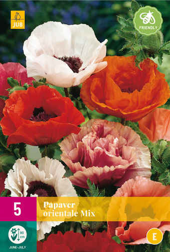 X 5 PAPAVER ORIENTALE MIX TOP