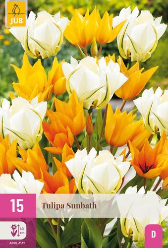 X 15 TULIPA SUNBATH I
