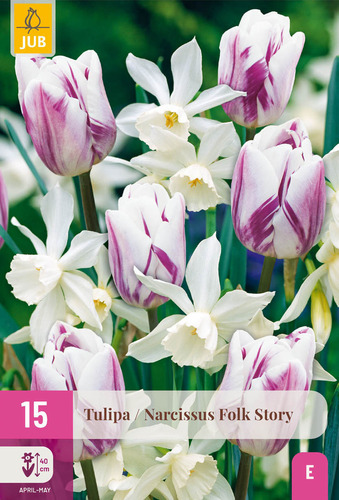 X 15 TULIPA / NARCISSUS FOLK STORY I