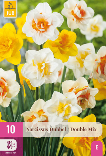 X 10 NARCISSUS DUBBEL MIX 12/14
