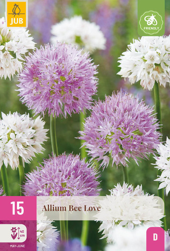 X 15 ALLIUM BEE LOVE 6/+