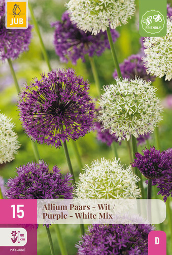 X 15 ALLIUM PAARS - WIT 10/12