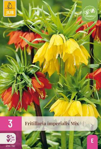 X   3 FRITILLARIA IMPERIALIS MIX 18/20