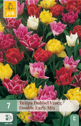 X   7 TULIPA DUBBEL VROEG MIX 11/12