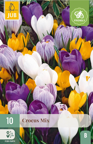 X 10 CROCUS GROOTBLOEMIG MIX 8/9
