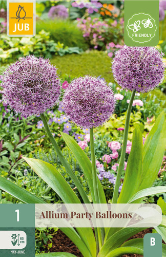 X   1 ALLIUM PARTY BALLOONS 16/18