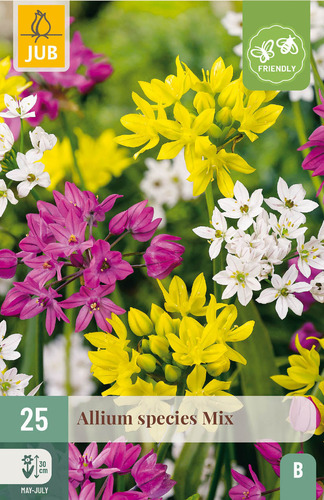 X 25 ALLIUM SPECIES MIX 4/5
