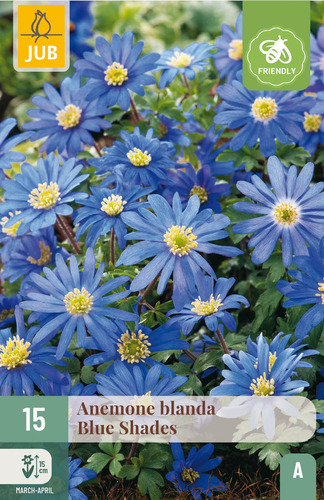 X 15 ANEMONE BLANDA BLUE SHADES 5/+