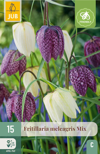 X 15 FRITILLARIA MELEAGRIS  MIX 6/7