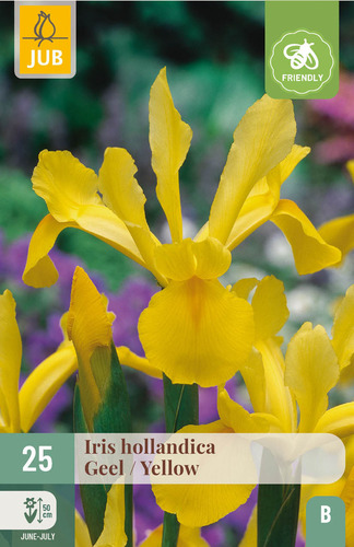 X 25 IRIS HOLLANDICA GEEL NJ 7/8