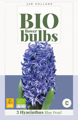 X   3 HYACINTHUS BLUE PEARL - BIO 14/+