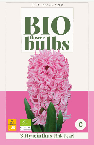 X   3 HYACINTHUS PINK PEARL - BIO 14/+