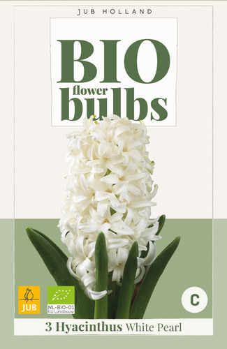 X   3 HYACINTHUS WHITE PEARL - BIO 14/+