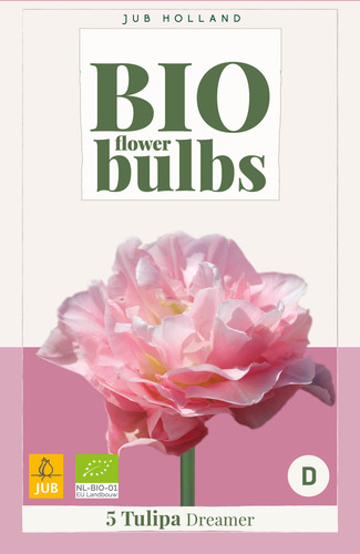 X   5 TULIPA DREAMER - BIO 11/+