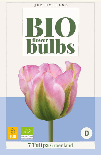 X   7 TULIPA GROENLAND - BIO 11/+