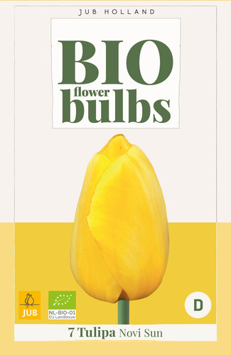 X   7 TULIPA NOVI SUN - BIO 11/+