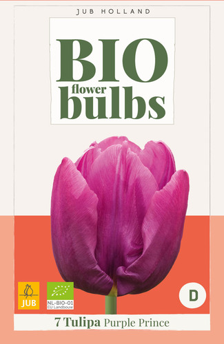 X   7 TULIPA PURPLE PRINCE - BIO 11/+