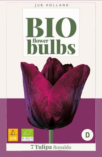 X   7 TULIPA RONALDO - BIO 11/+
