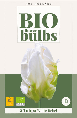 X   5 TULIPA WHITE REBEL - BIO 11/+