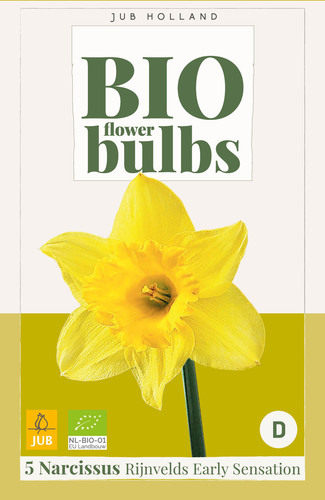 X   5 NARCISSUS RIJNVELDS EARLY SENSATION - BIO 10/12