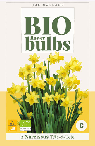 X   5 NARCISSUS TETE-A-TETE - BIO 10/12