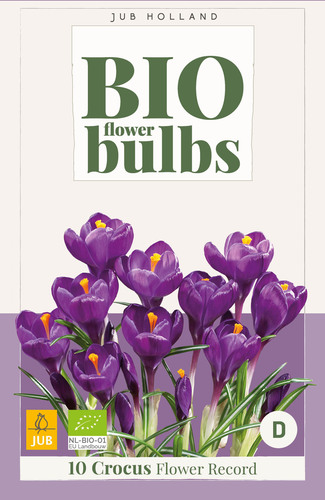 X 10 CROCUS FLOWER RECORD - BIO 7/+