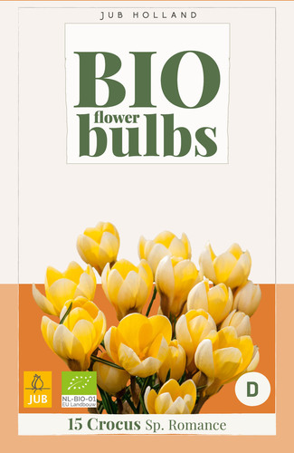 X 15 CROCUS SP. ROMANCE - BIO 5/+