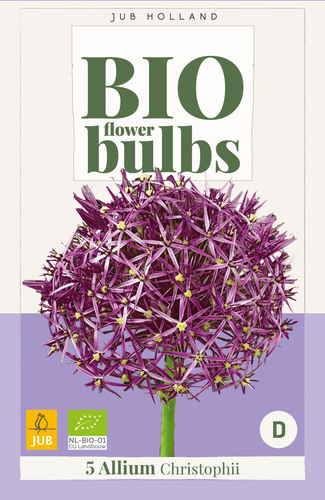 X   5 ALLIUM CHRISTOPHII - BIO 10/12