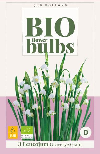 X   3 LEUCOJUM GRAVETYE GIANT - BIO 12/14
