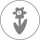 bloeiperiode front grijs
