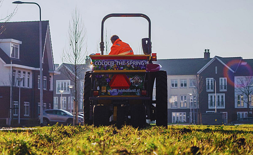 Uitvoering en advies