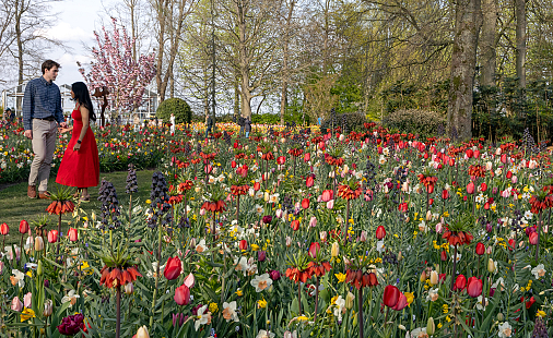 Slotakkoord van schilderachtig ontwerp JUB Holland bij Keukenhof 2025