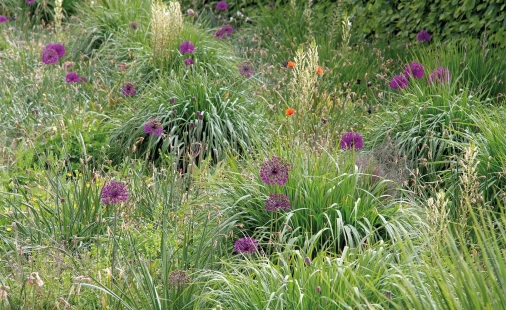 klimaat adaptief beplanten