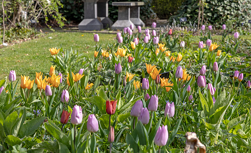 Garten- und landschaftarchitekten
