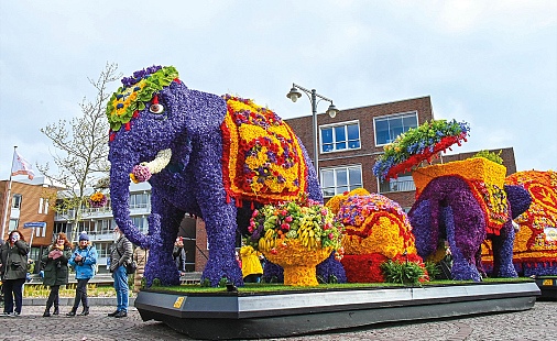 Bloemencorso bij JUB Holland