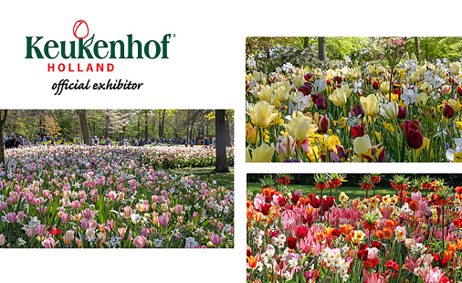 JUB Holland op Keukenhof