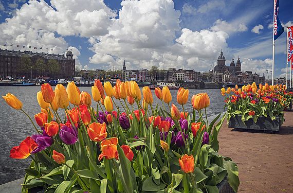 JUB Holland