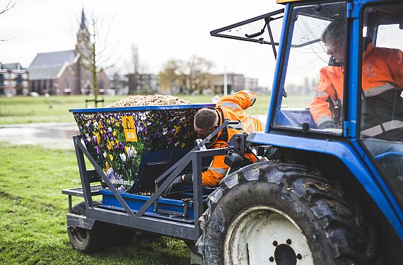 Mechanical bulb planting